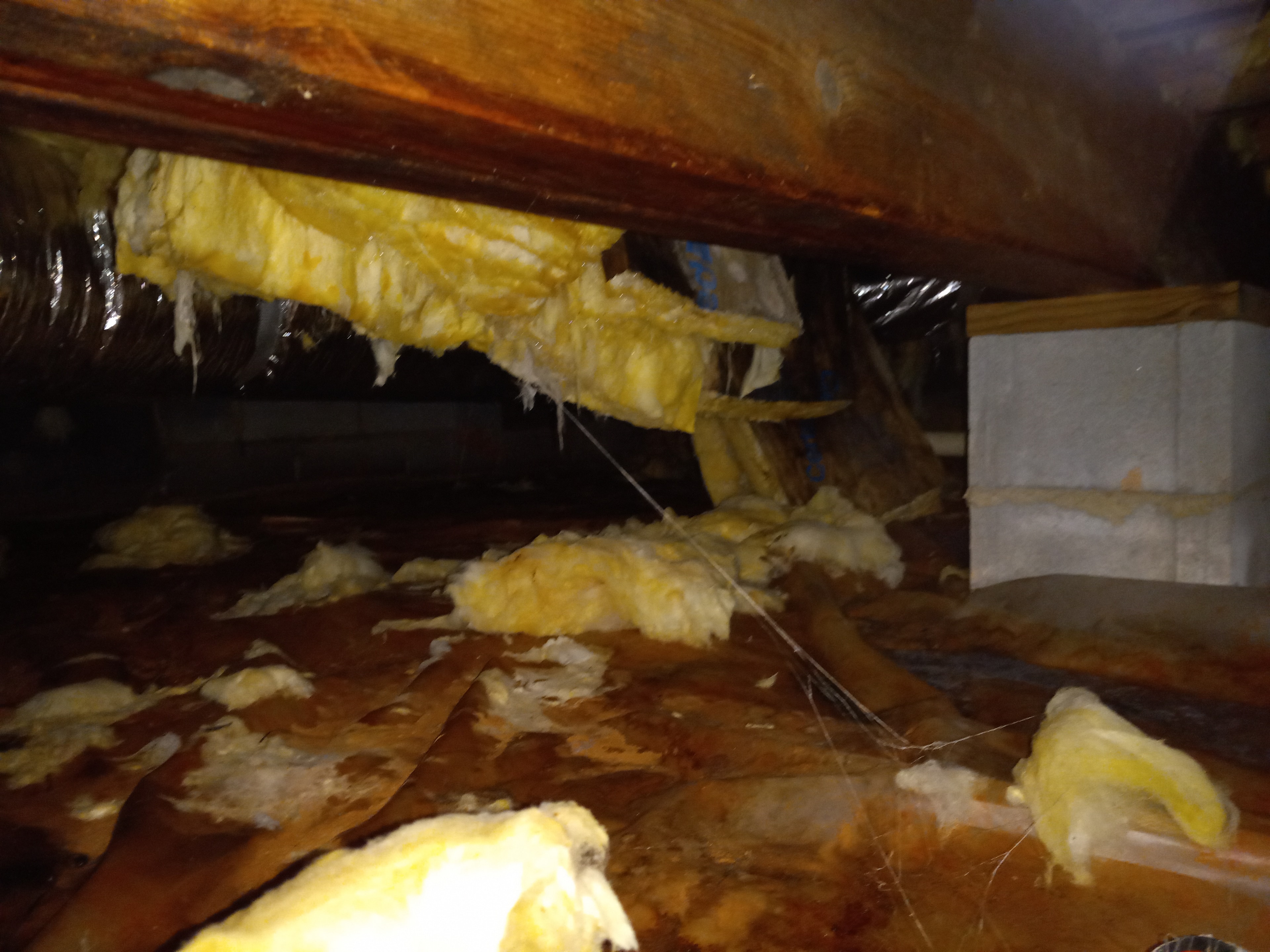 Water Damage Restoration — Basement Remediation
